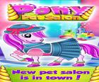 Pony Pet Saloon