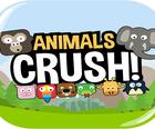 Zwierzęta Crush Mecz