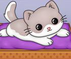 Pets Slide