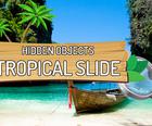 Skjulte Objekter Tropiske Slide