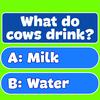 Trivia! Best family quiz Trivia! Best family quiz