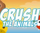 Crush az Állatok