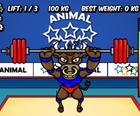 Tierische Olympiade-Gewichtheben