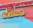 Extermination of Flies