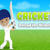 Cricket Defender o Wicket! Cricket Defender o Wicket!