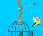 Free Birds