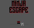 Escape Ninja