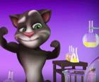 Talking Tom em laboratório