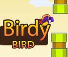 Birdy Kuş Disket