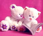 Cute Teddy Bears Slide