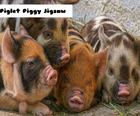 Piglet Piggy Jigsaw