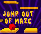 Jump out of maze