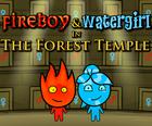 Fireboy και Watergirl