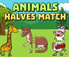 Animals Halves Match