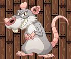 Gifle Le Rat