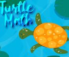 Turtle Math