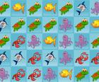 Sea World Collection
