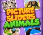 Picture Slider Animals