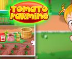 赤ちゃんのヘトマト農業