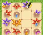 Bloom Sort 2: Bee Puzzle