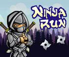 Paleisti Ninja 