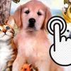Pets Clicker Pets Clicker