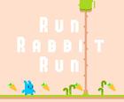 खरगोश भागो भागो