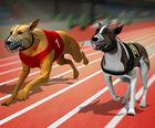 Racing Dog Simulator: Jogos De Corrida De Cães Loucos