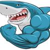 Mads Shark Mads Shark