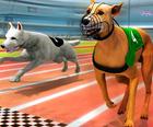 Dogs3D Yarışları