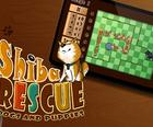Shiba-Rescue-Hunde und Welpen