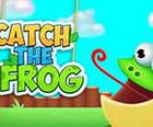 Catch the Frog