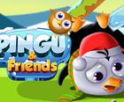 Pingu और दोस्तों