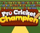 प्रो क्रिकेट चॅम्पियन
