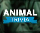 Eläinten Trivia