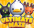 Ultimate maze! Collect them all!