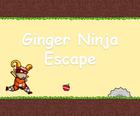 Ingwer Ninja Flucht