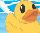 Help The Duck
