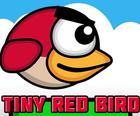 Piccolo uccello rosso