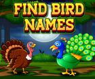 Znajdź Nazwy Ptaków