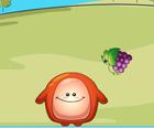 Chaki Food Drop