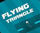 Летающий треугольник 2021