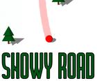 Snowy Road