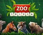 Zoo Spil