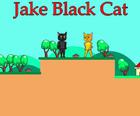 ג ' ייק חתול שחור