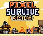 Pixel Prežiť Západnej