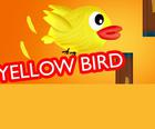 Yellow bird