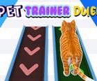 Pet Trainer Duel