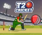 Т20 Крикет