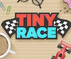 Tiny Race-Toy Car Racing